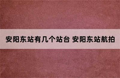 安阳东站有几个站台 安阳东站航拍